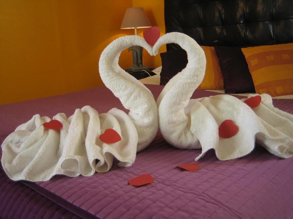 Chambre D'Hotes Domaine Le Castagne Ош Екстер'єр фото